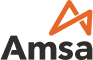 Amsa